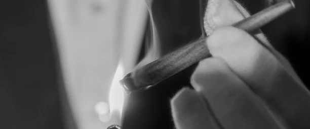 Premium Hemp and THCA Products With Mixed Customer Feedback