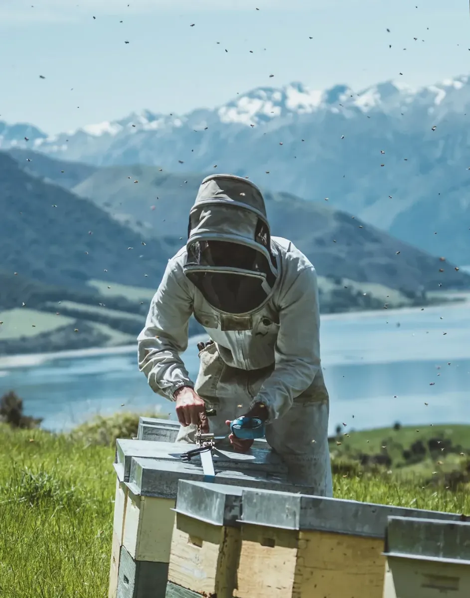 Premium Manuka Honey Crafted for Quality and Natural Wellness