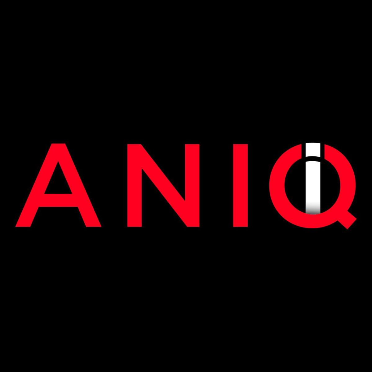 ANIQI Coupons and Promo Code